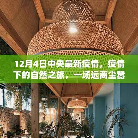 中央最新疫情后的自然之旅,心灵探索启程在美好的十二月