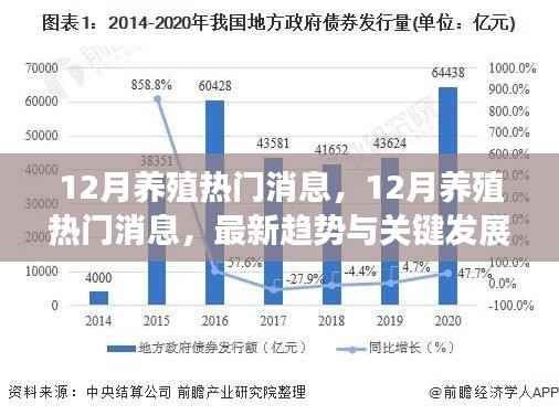 12月养殖热门消息速递，最新趋势与关键发展解析