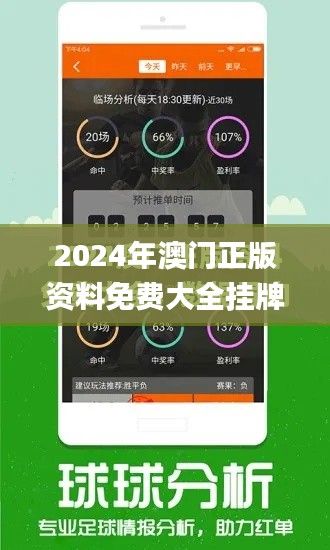 2024年澳门正版资料免费大全挂牌,实效设计计划解析_顶级款84.155-7