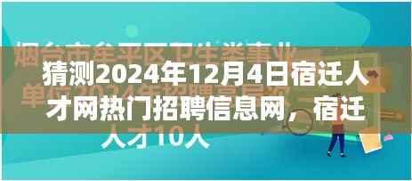 宿迁人才网奇遇,2024年求职友情之旅