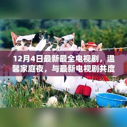 12月4日最新电视剧集结,温馨家庭夜共赏美好时光