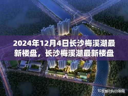 长沙梅溪湖最新楼盘探秘，2024年购房指南