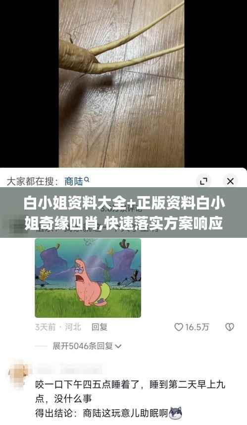 白小姐资料大全+正版资料白小姐奇缘四肖,快速落实方案响应_1440p114.334-9