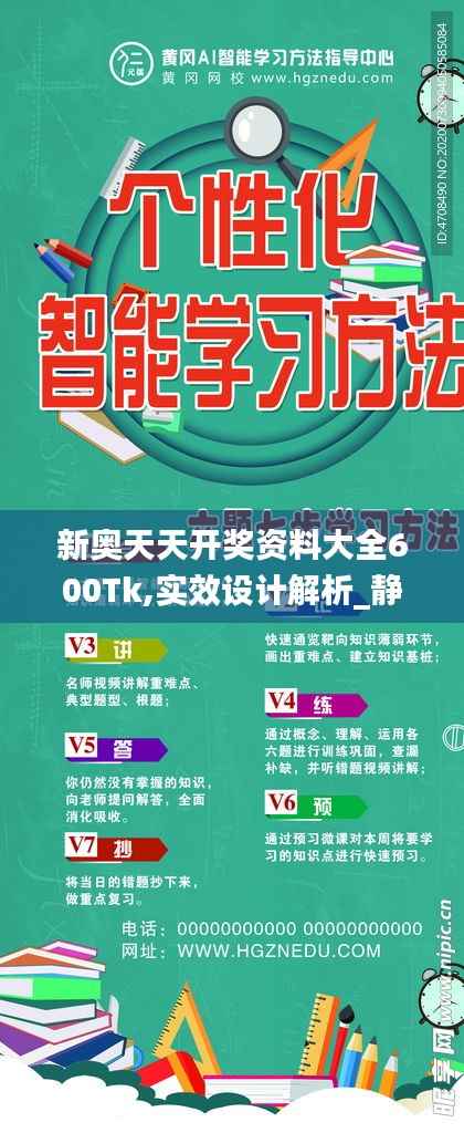新奥天天开奖资料大全600Tk,实效设计解析_静态版74.877-4