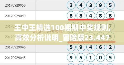 王中王精选100期期中奖规则,高效分析说明_冒险版23.447