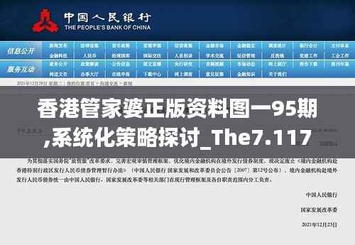 香港管家婆正版资料图一95期,系统化策略探讨_The7.117