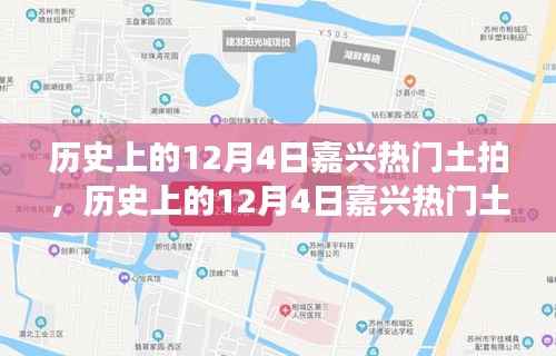 揭秘,历史上的嘉兴土拍风云与背后的故事与影响