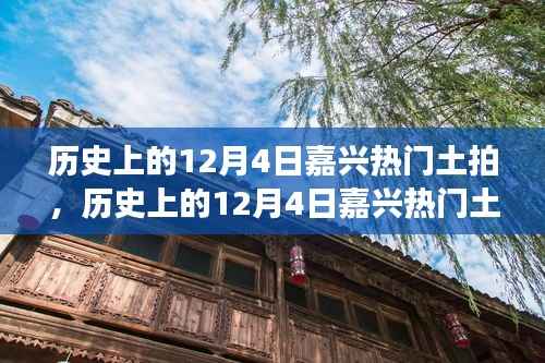 揭秘,历史上的嘉兴土拍风云与背后的故事与影响