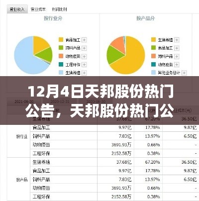 天邦股份最新公告引热议，12月动向分析与热议话题