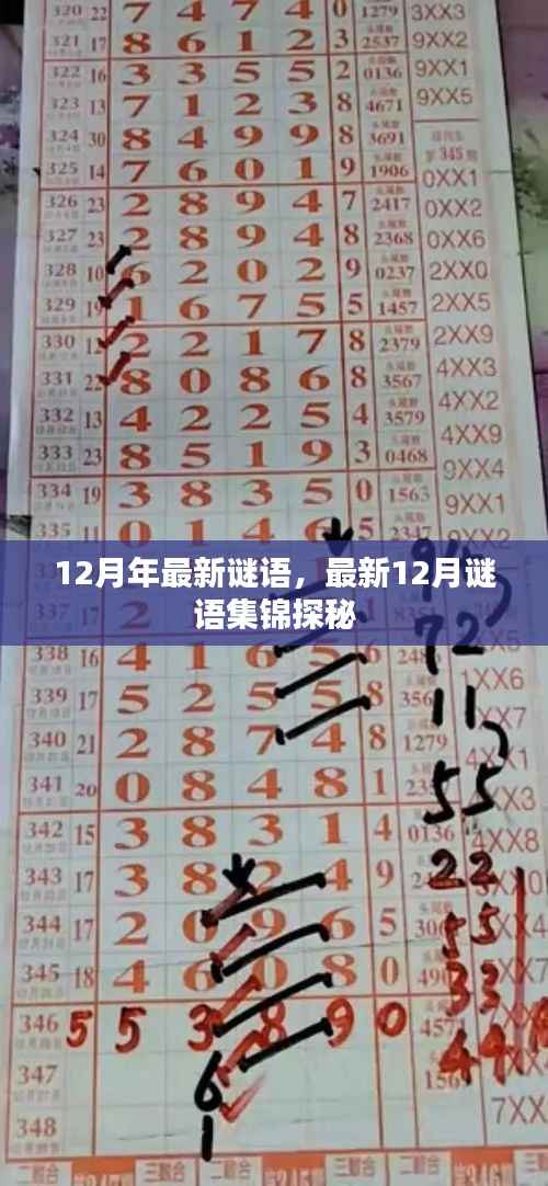 最新12月谜语集锦探秘,谜题连连,挑战智力极限