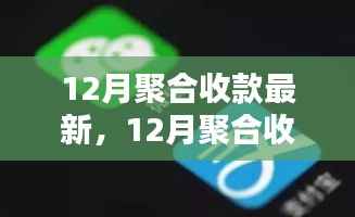 12月聚合收款最新步骤指南，从入门到精通