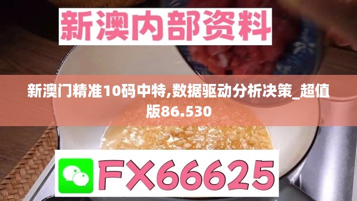 新澳门精准10码中特,数据驱动分析决策_超值版86.530