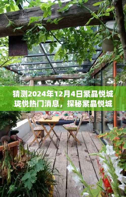 探秘紫晶悦城，珑悦奇谈与特色小店的惊喜之旅（预测2024年12月4日热门消息）