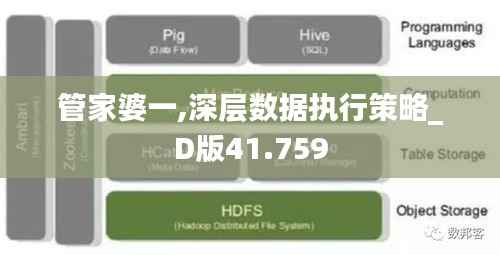 管家婆一,深层数据执行策略_D版41.759