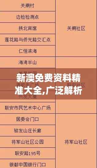 新澳免费资料精准大全,广泛解析方法评估_Phablet136.505