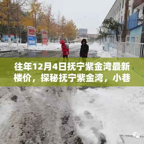 探秘抚宁紫金湾，最新楼价与小巷深处的特色小店奇闻