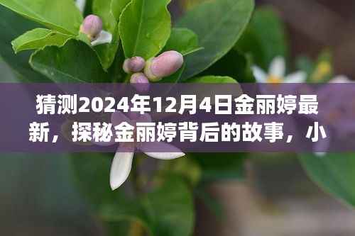 探秘金丽婷背后的故事，小巷深处的独特风味秘境（最新预测2024年12月4日）