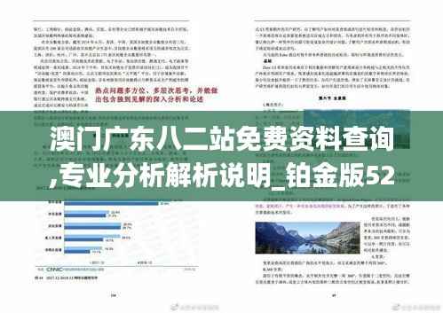 澳门广东八二站免费资料查询,专业分析解析说明_铂金版52.131