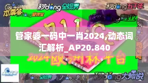 管家婆一码中一肖2024,动态词汇解析_AP20.840