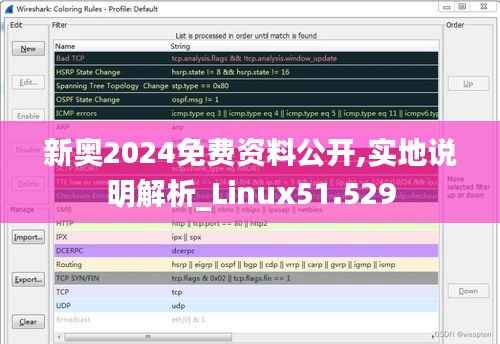 新奥2024免费资料公开,实地说明解析_Linux51.529