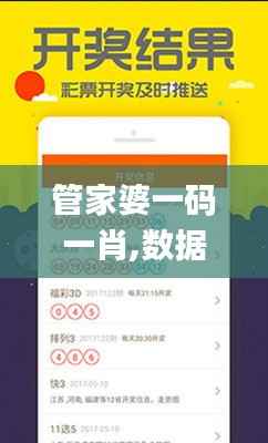 管家婆一码一肖,数据导向实施_超值版186.321