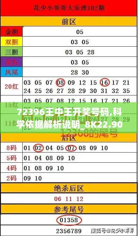 72396王中王开奖号码,科学依据解析说明_8K22.904