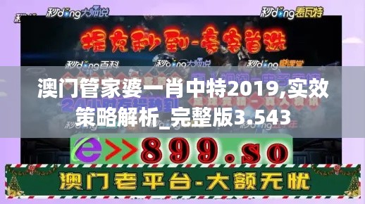 澳门管家婆一肖中特2019,实效策略解析_完整版3.543