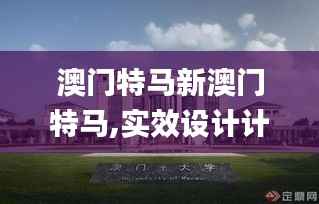 澳门特马新澳门特马,实效设计计划_Max56.362