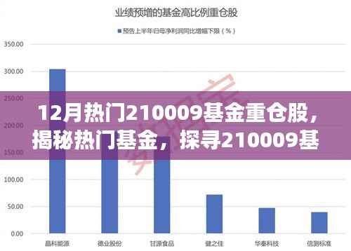 揭秘年末热门基金，探寻210009基金重仓股独特魅力与地位