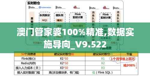 澳门管家婆100%精准,数据实施导向_V9.522