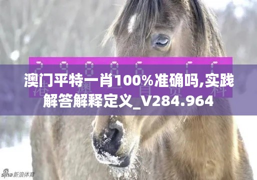 澳门平特一肖100%准确吗,实践解答解释定义_V284.964
