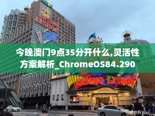 今晚澳门9点35分开什么,灵活性方案解析_ChromeOS84.290