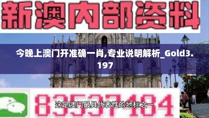 今晚上澳门开准确一肖,专业说明解析_Gold3.197