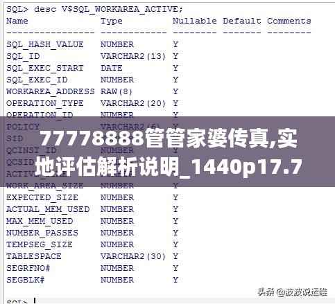 77778888管管家婆传真,实地评估解析说明_1440p17.749