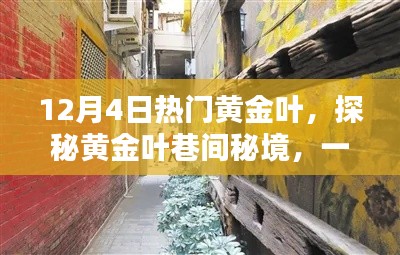 探秘黄金叶巷间秘境,黄金叶特色小店的魅力之旅(12月4日热门推荐)