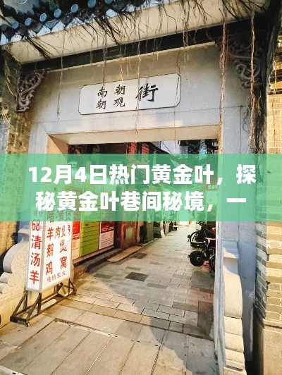 探秘黄金叶巷间秘境,黄金叶特色小店的魅力之旅(12月4日热门推荐)