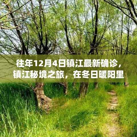 镇江秘境之旅,冬日暖阳下的确诊奇迹与心灵美景探寻