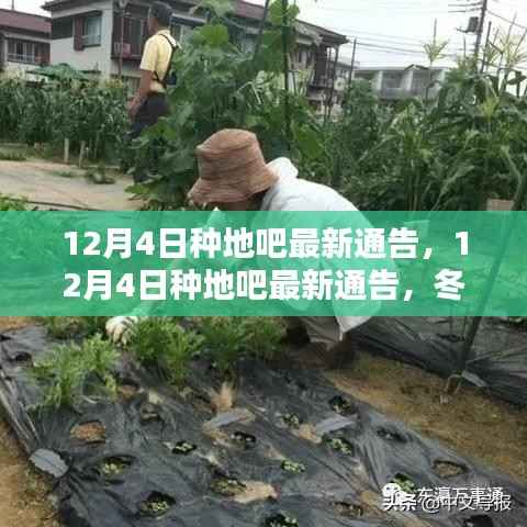 冬日农园欢乐时光与温情纽带，种地吧最新通告发布