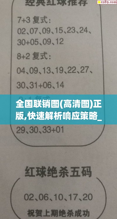 全国联销图(高清图)正版,快速解析响应策略_顶级版3.484