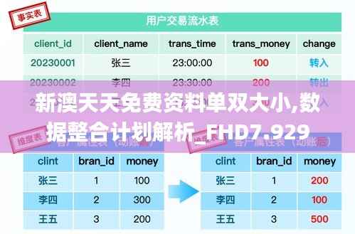 新澳天天免费资料单双大小,数据整合计划解析_FHD7.929