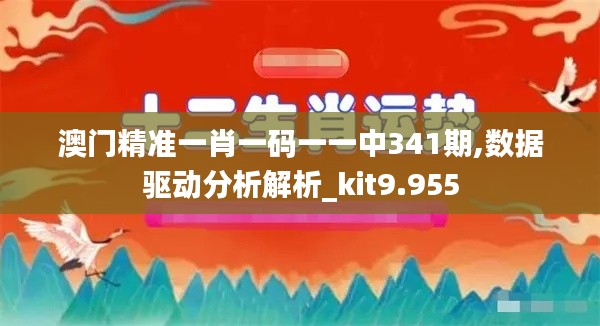澳门精准一肖一码一一中341期,数据驱动分析解析_kit9.955