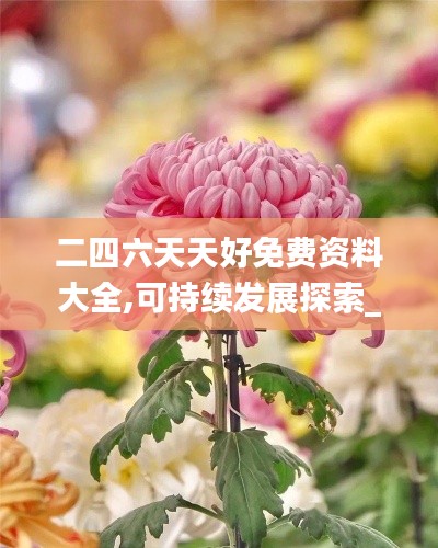 二四六天天好免费资料大全,可持续发展探索_Executive1.755