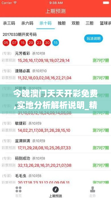 今晚澳门天天开彩免费,实地分析解析说明_精英款6.228