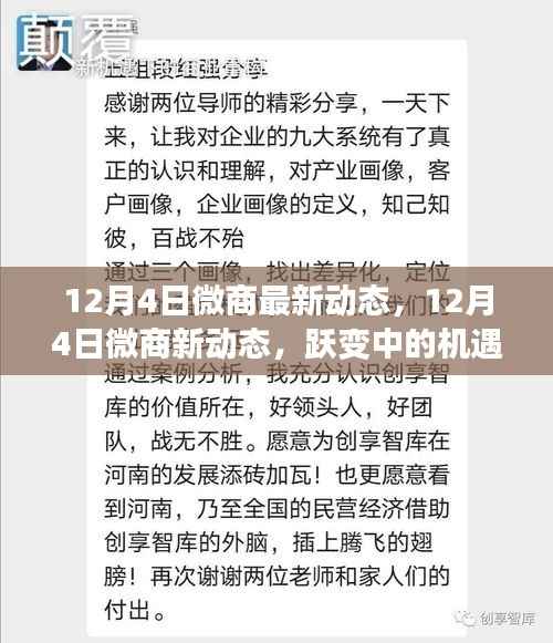 跃变中的机遇与挑战,揭秘微商新动态,开启自信成就之旅