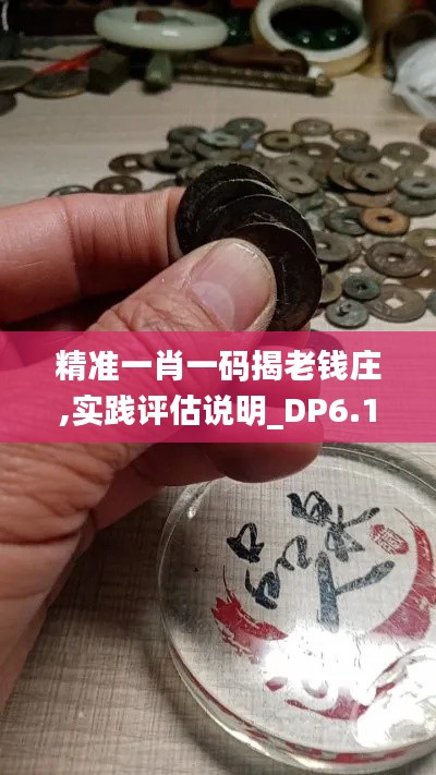 精准一肖一码揭老钱庄,实践评估说明_DP6.135