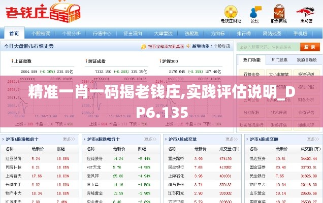 精准一肖一码揭老钱庄,实践评估说明_DP6.135