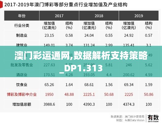 澳门彩运通网,数据解析支持策略_DP1.313