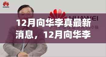 逆境中的蜕变,向华李真最新动态与成长之路