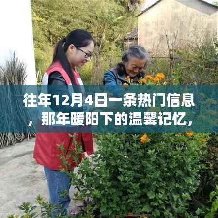 暖阳下的温馨记忆，一条信息的奇妙旅程在每年的12月4日唤起热议
