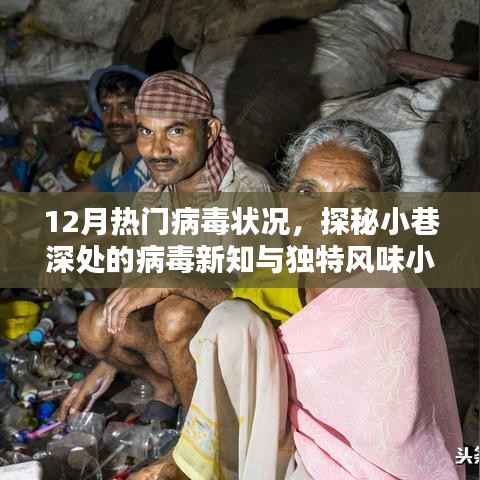 探秘小巷深处的病毒新知与独特风味小店，揭秘十二月病毒状况与美食故事